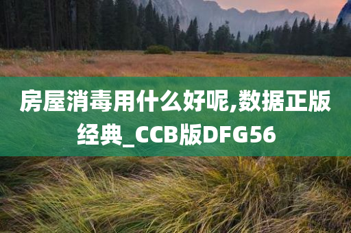 CCB版DFG56 第2页