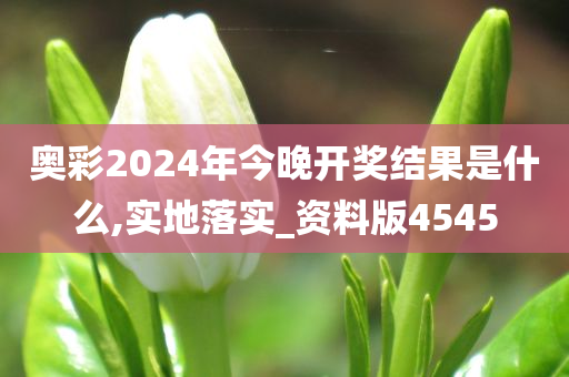 奥彩2024年今晚开奖结果是什么,实地落实_资料版4545
