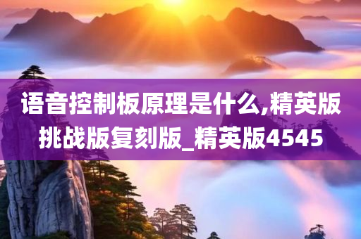 语音控制板原理是什么,精英版挑战版复刻版_精英版4545