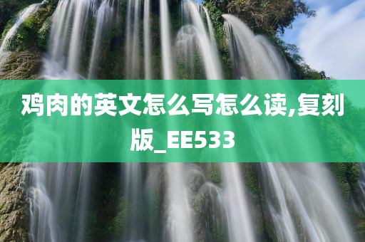 鸡肉的英文怎么写怎么读,复刻版_EE533