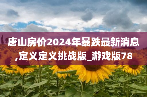 唐山房价2024年暴跌最新消息,定义定义挑战版_游戏版78