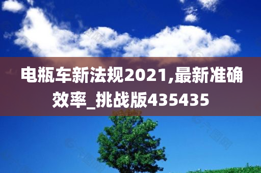 电瓶车新法规2021,最新准确效率_挑战版435435