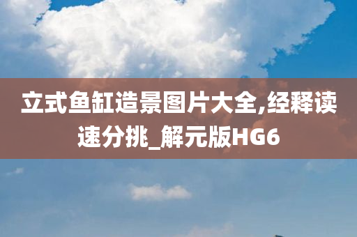 立式鱼缸造景图片大全,经释读速分挑_解元版HG6