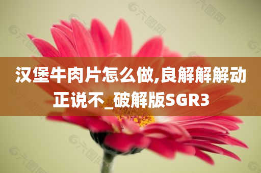 汉堡牛肉片怎么做,良解解解动正说不_破解版SGR3今晚必出三肖2025_2025新澳门精准免费提供·精确判断