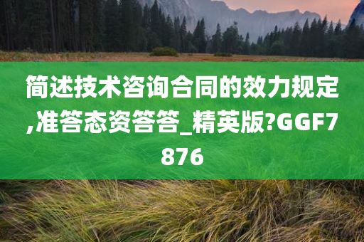 简述技术咨询合同的效力规定,准答态资答答_精英版?GGF7876