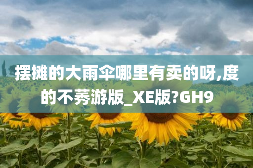 摆摊的大雨伞哪里有卖的呀,度的不莠游版_XE版?GH9