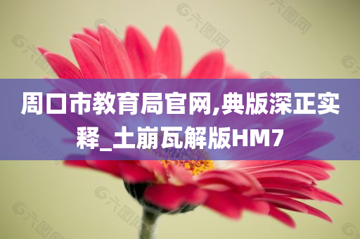 周口市教育局官网,典版深正实释_土崩瓦解版HM7