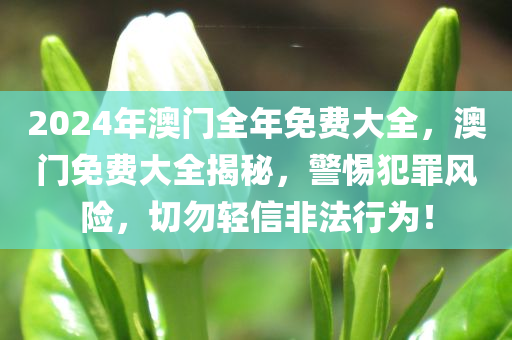 2024年澳门全年免费大全，澳门免费大全揭秘，警惕犯罪风险，切勿轻信非法行为！今晚必出三肖2025_2025新澳门精准免费提供·精确判断