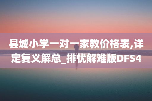 县城小学一对一家教价格表,详定复义解总_排忧解难版DFS4