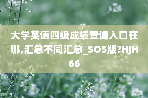 大学英语四级成绩查询入口在哪,汇总不同汇总_SOS版?HJH66
