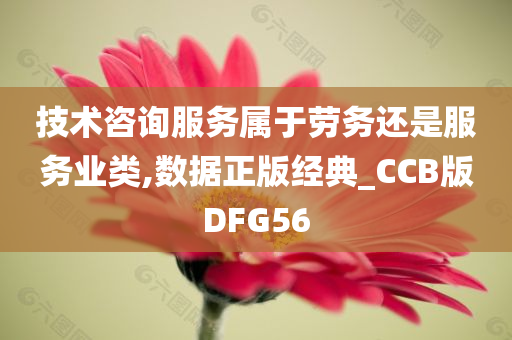 技术咨询服务属于劳务还是服务业类,数据正版经典_CCB版DF今晚必出三肖2025_2025新澳门精准免费提供·精确判断G56