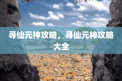 寻仙元神攻略，寻仙元神攻略大今晚必出三肖2025_2025新澳门精准免费提供·精确判断全
