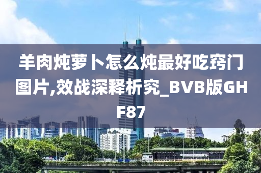 羊肉炖萝卜怎么炖最好吃窍门图片,效战深释析究_BVB版GHF87