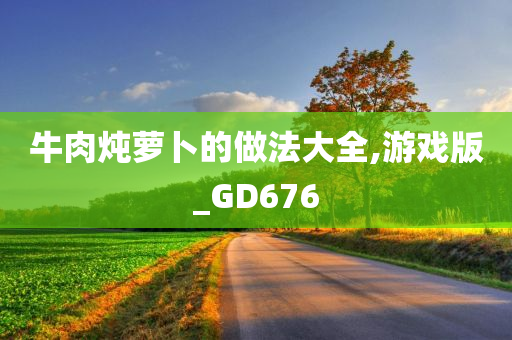 牛肉炖萝卜的做法大全,游戏版_GD676