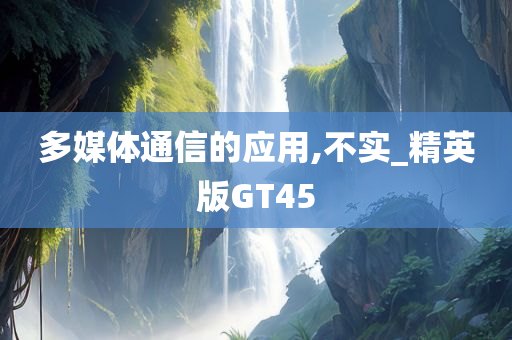 多媒体通信的应用,不实_精英版GT45