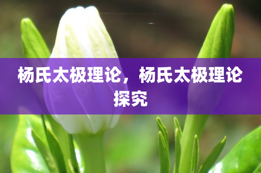 杨氏太极理论，杨今晚必出三肖2025_2025新澳门精准免费提供·精确判断氏太极理论探究