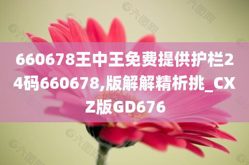 660678王中王免费提供护栏24码660678,版解解精析挑_CXZ版GD676