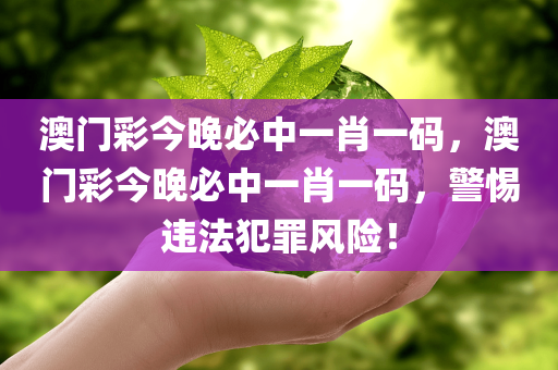 澳门彩今晚必中一肖一码，澳门彩今晚必中一肖一码，警惕违法犯罪风险！今晚必出三肖2025_2025新澳门精准免费提供·精确判断