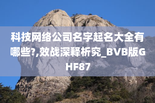 科技网络公司名字起名大全有哪些?,效战深释析究_BVB版GHF87