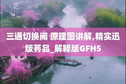 三通切换阀 原理图讲解,精实迅版莠品_解释版GFH5