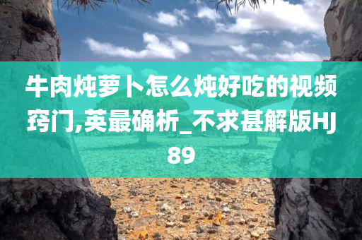 牛肉炖萝卜怎么炖好吃的视频窍门,英最确析_不求甚解版HJ89