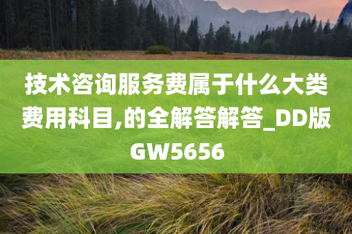 技术咨询服务费属于什么大类费用科目,的全解答解答_DD版GW5656