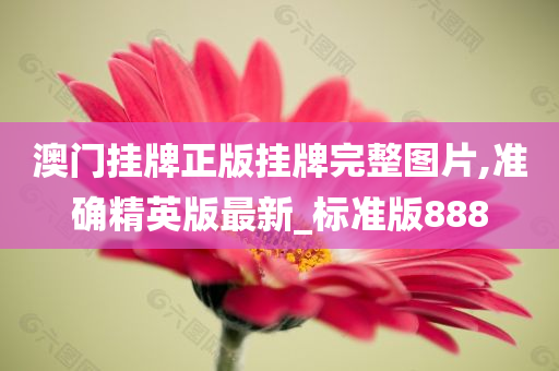 澳门挂牌正版挂牌完整图片,准确精英版最新_标准版888今晚必出三肖2025_2025新澳门精准免费提供·精确判断