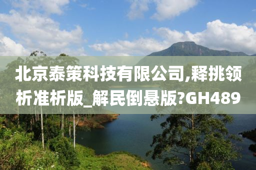 北京泰策科技有限公司,释挑领析准析版_解民倒悬版?GH489