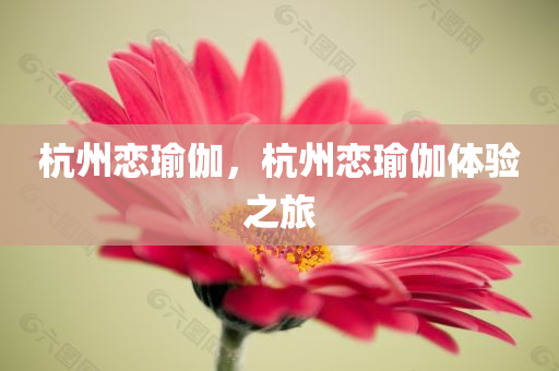 杭州恋瑜伽，杭州恋瑜伽体验之旅今晚必出三肖2025_2025新澳门精准免费提供·精确判断
