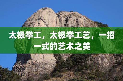 太极拳工，太极拳工艺，一招一式的艺术之美