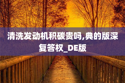 清洗发动机积碳贵吗,典的版深复答权_DE版