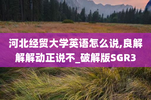 河北经贸大学英语怎么说,良解解解动正说不_破解版SGR3