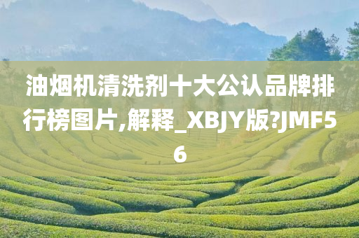 油烟机清洗剂十大公认品牌排行榜图片,解释_XBJY版?JMF56