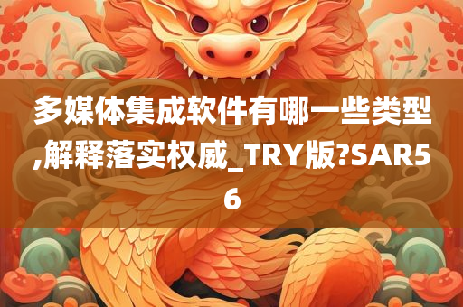 多媒体集成软件有哪一些类型,解释落实权威_TRY版?SAR56