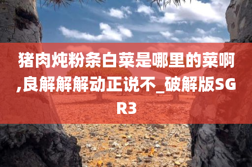 猪肉炖粉条白菜是哪里的菜啊,良解解解动正说不_破解版SGR3
