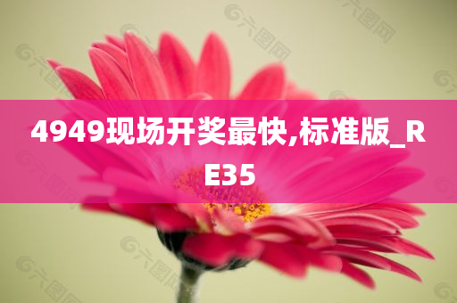 4949现场开奖最快,标准版_RE35