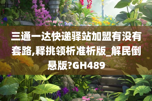 三通一达快递驿站加盟有没有套路,释挑领析准析版_解民倒悬版?GH489