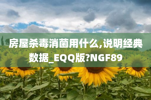 房屋杀毒消菌用什么,说明经典数据_EQQ版?NGF89