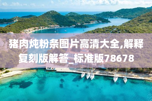 猪肉炖粉条图片高清大全,解释复刻版解答_标准版78678