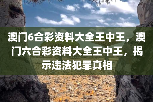 澳门6合彩资料大全王中王，澳门六合彩资料大全王中王，揭示违法犯罪真相今晚必出三肖2025_2025新澳门精准免费提供·精确判断