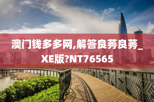 澳门钱多多网,解答良莠良莠_XE版?NT76565