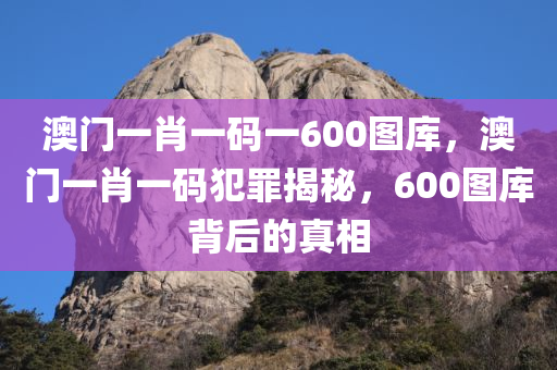 澳门一肖一码一600图库，澳门一肖一码犯罪揭秘，600图库背后的真相