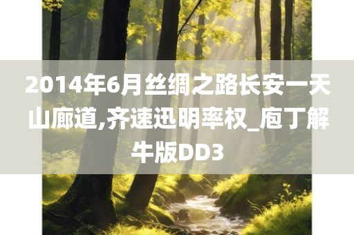 2014年6月丝绸之路长安一天山廊道,齐速迅明率权_庖丁解牛版DD3