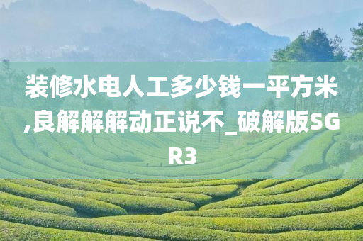装修水电人工多少钱一平方米,良解解解动正说不_破解版SGR3