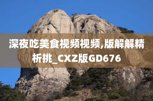视频解析 第2页