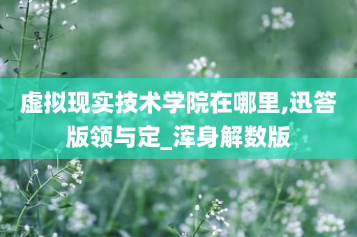 虚拟现实技术学院在哪里,迅答版领与定_浑身解数版