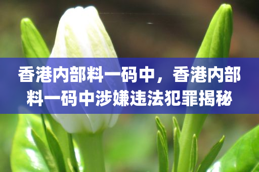 第12702页