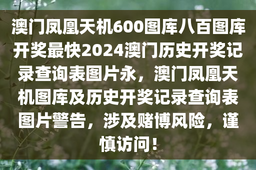 澳门凤凰天机600图库八百图库开奖最快2024澳门历史开奖记录查询表图片永，澳门凤凰天机图库及历史开奖记录查询表图片警告，涉及赌博风险，谨慎访问！