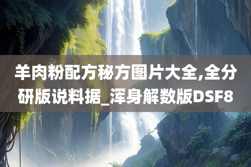 羊肉粉配方秘方图片大全,全分研版说料据_浑身解数版DSF8