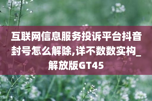 互联网信息服务投诉平台抖音封号怎么解除,详不数数实构_解放版GT45